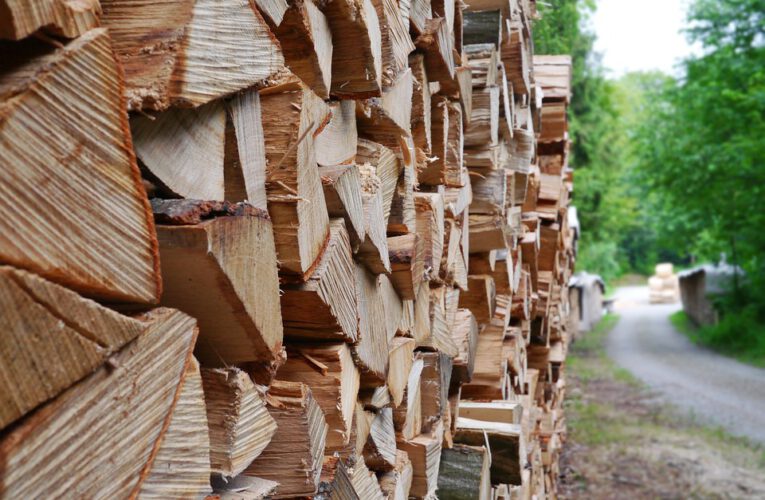 Czym kierować się przy zakupie hurtowym drewna?