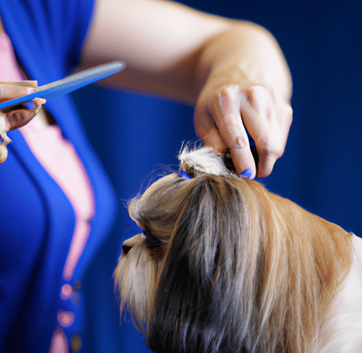 Jak uczesać Shih Tzu – Przegląd najmodniejszych fryzur