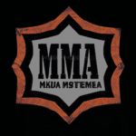 5 najlepszych organizacji MMA na świecie