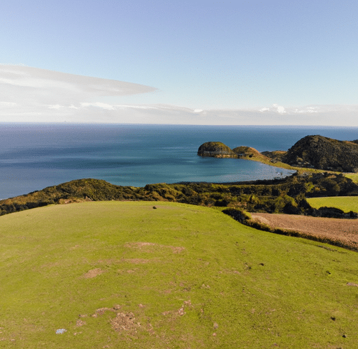 Taonga: The Island Farm – Przygoda odkrywająca sekrety wyspiarskiej farmy
