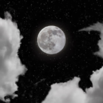 W tajemnicy księżycowej nocy: Czy znasz powód dlaczego wilki wyją do księżyca?
