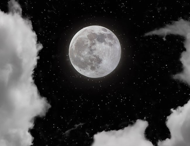W tajemnicy księżycowej nocy: Czy znasz powód dlaczego wilki wyją do księżyca?